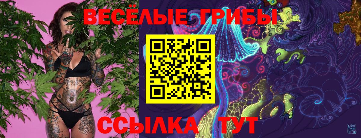 Сердобск  Галлюциногенные грибы Psilocybe  Вход с VPN  Галлюциногенные грибы MAGIC MUSHROOMS 