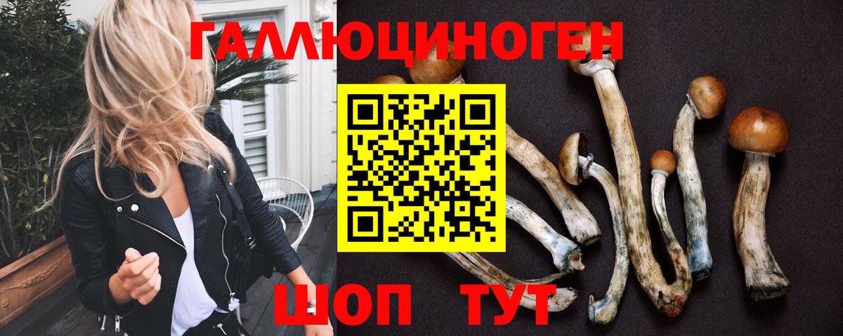 Псилоцибиновые грибы MAGIC MUSHROOMS Сердобск